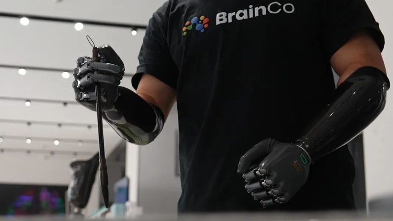 互联网技术入门：从基础概念到实战指南